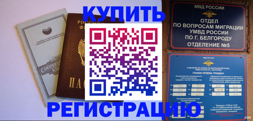 временная прописка в Звенигово